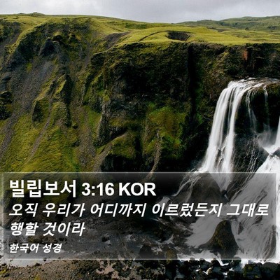 빌립보서 3:16 KOR Bible Verse Image
