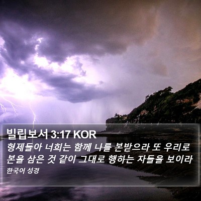 빌립보서 3:17 KOR Bible Verse Image