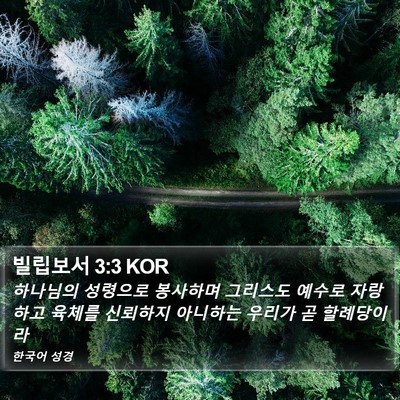 빌립보서 3:3 KOR Bible Verse Image