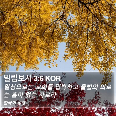 빌립보서 3:6 KOR Bible Verse Image