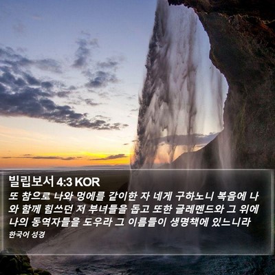 빌립보서 4:3 KOR Bible Verse Image