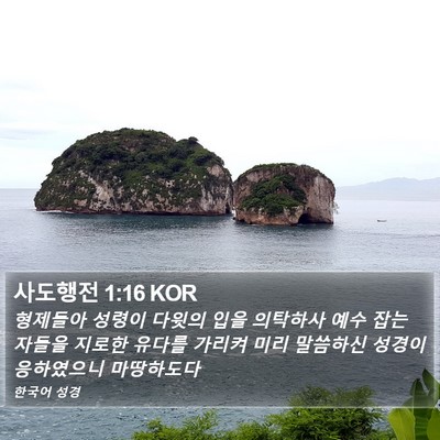 사도행전 1:16 KOR Bible Verse Image