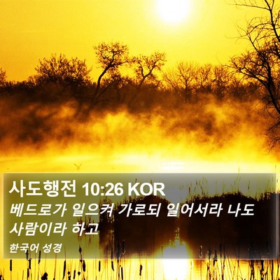 사도행전 10:26 KOR Bible Verse Image