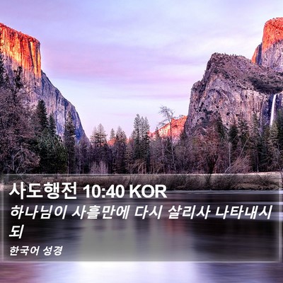 사도행전 10:40 KOR Bible Verse Image