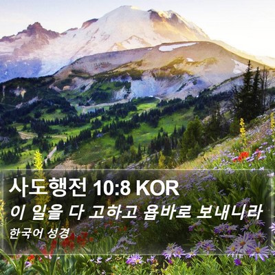 사도행전 10:8 KOR Bible Verse Image