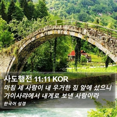 사도행전 11:11 KOR Bible Verse Image