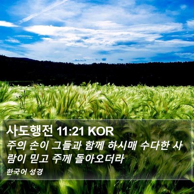 사도행전 11:21 KOR Bible Verse Image