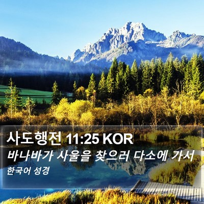사도행전 11:25 KOR Bible Verse Image