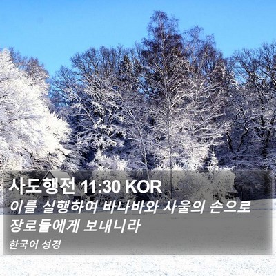 사도행전 11:30 KOR Bible Verse Image