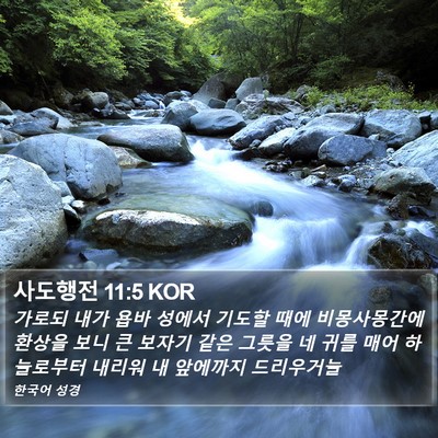 사도행전 11:5 KOR Bible Verse Image