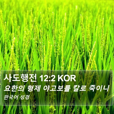사도행전 12:2 KOR Bible Verse Image