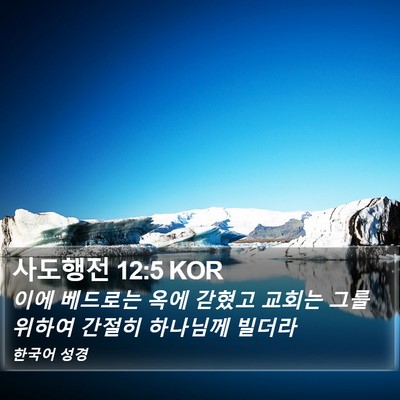사도행전 12:5 KOR Bible Verse Image