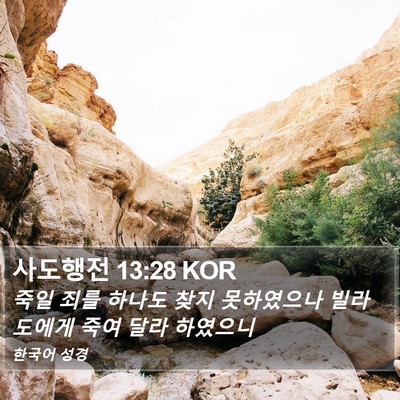 사도행전 13:28 KOR Bible Verse Image