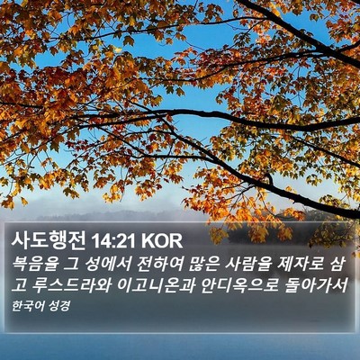 사도행전 14:21 KOR Bible Verse Image