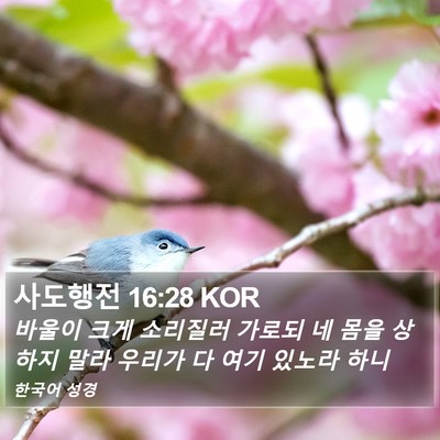 사도행전 16:28 KOR Bible Verse Image