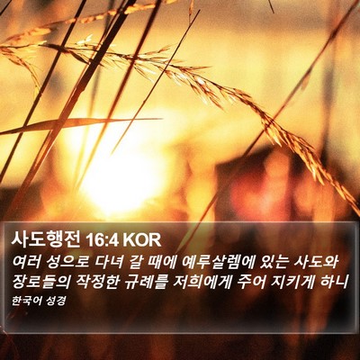 사도행전 16:4 KOR Bible Verse Image