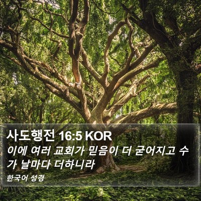 사도행전 16:5 KOR Bible Verse Image