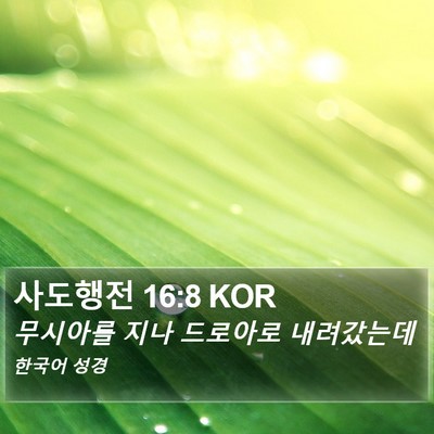 사도행전 16:8 KOR Bible Verse Image