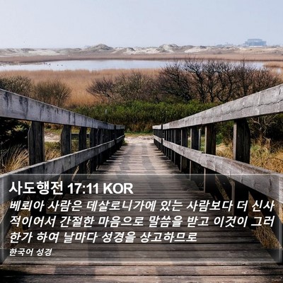 사도행전 17:11 KOR Bible Verse Image