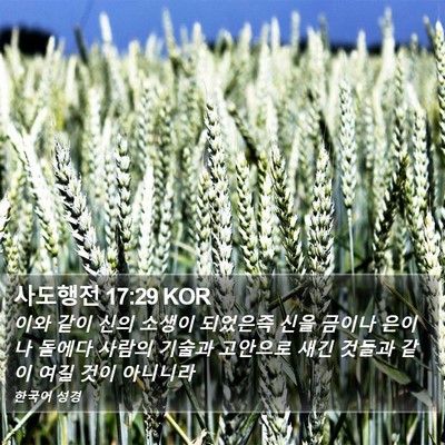 사도행전 17:29 KOR Bible Verse Image