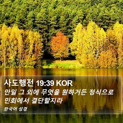 사도행전 19:39 KOR Bible Verse Image