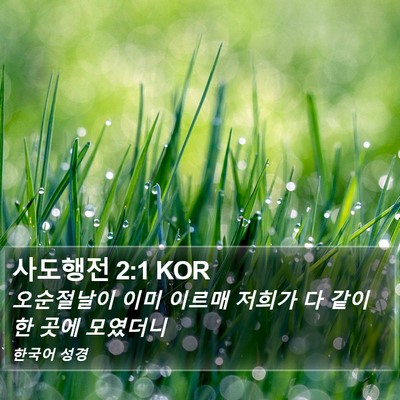 사도행전 2:1 KOR Bible Verse Image