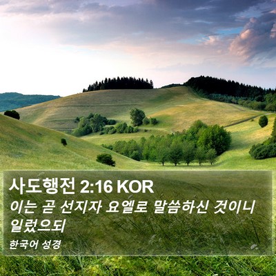 사도행전 2:16 KOR Bible Verse Image