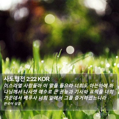 사도행전 2:22 KOR Bible Verse Image