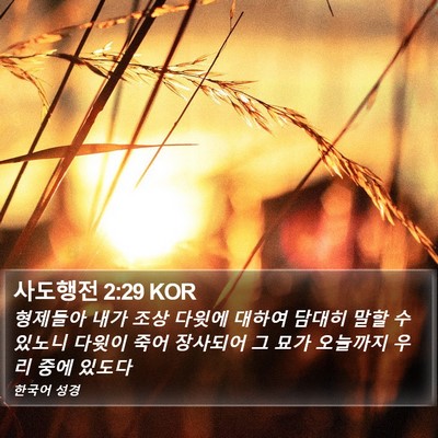 사도행전 2:29 KOR Bible Verse Image