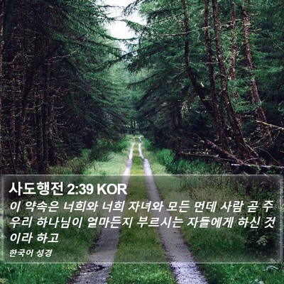사도행전 2:39 KOR Bible Verse Image