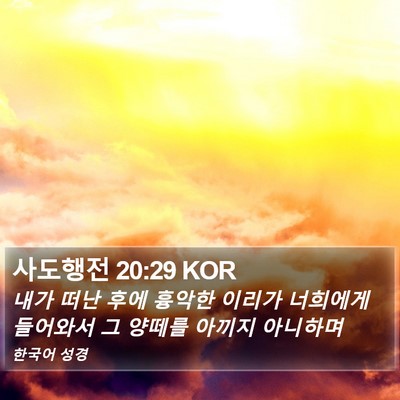 사도행전 20:29 KOR Bible Verse Image