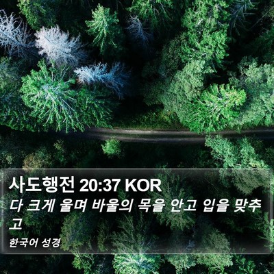사도행전 20:37 KOR Bible Verse Image