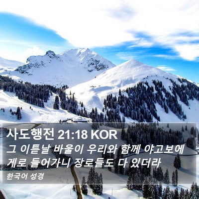 사도행전 21:18 KOR Bible Verse Image