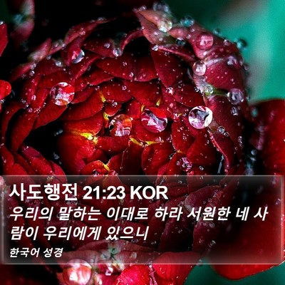 사도행전 21:23 KOR Bible Verse Image