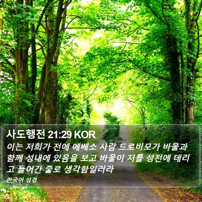 사도행전 21:29 KOR Bible Verse Image