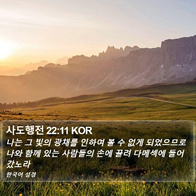사도행전 22:11 KOR Bible Verse Image
