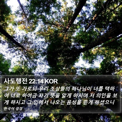 사도행전 22:14 KOR Bible Verse Image