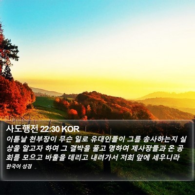 사도행전 22:30 KOR Bible Verse Image