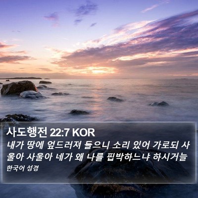 사도행전 22:7 KOR Bible Verse Image
