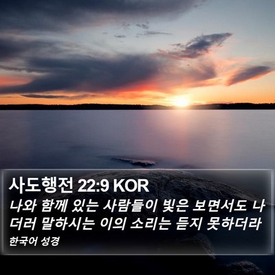 사도행전 22:9 KOR Bible Verse Image