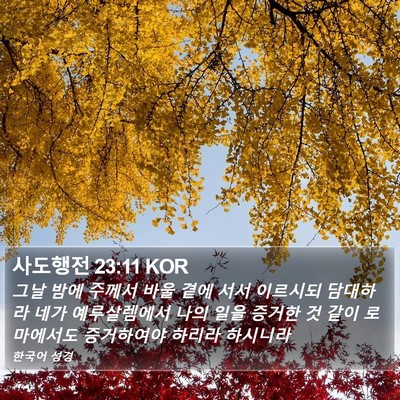 사도행전 23:11 KOR Bible Verse Image