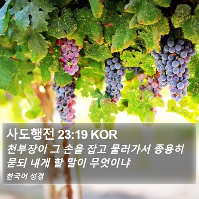 사도행전 23:19 KOR Bible Verse Image