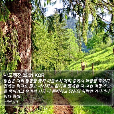 사도행전 23:21 KOR Bible Verse Image