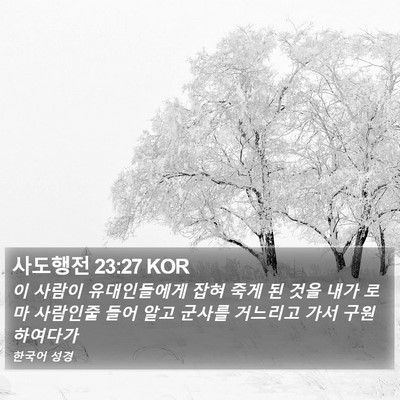 사도행전 23:27 KOR Bible Verse Image