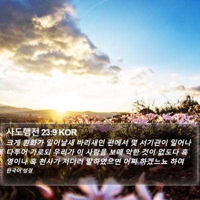 사도행전 23:9 KOR Bible Verse Image