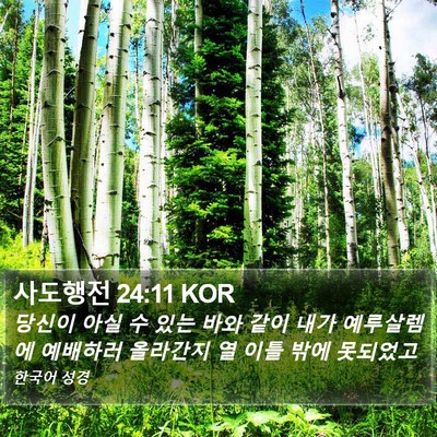 사도행전 24:11 KOR Bible Verse Image