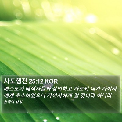 사도행전 25:12 KOR Bible Verse Image
