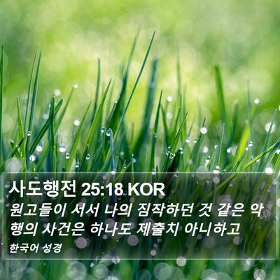 사도행전 25:18 KOR Bible Verse Image
