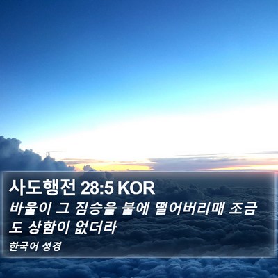 사도행전 28:5 KOR Bible Verse Image