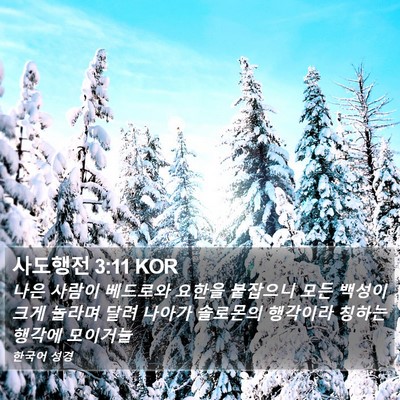 사도행전 3:11 KOR Bible Verse Image